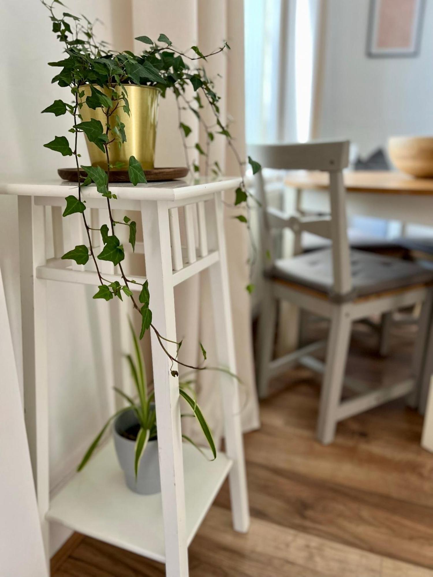 2025 Award Winner Liverpool Ivy House - 4 Bedrooms Ngoại thất bức ảnh